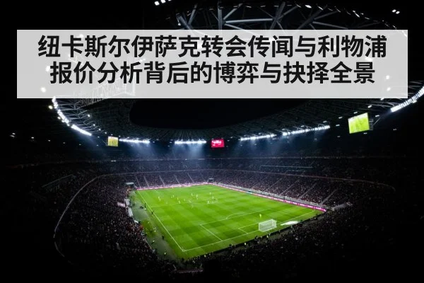 纽卡斯尔伊萨克转会传闻与利物浦报价分析背后的博弈与抉择全景 | kaiyun